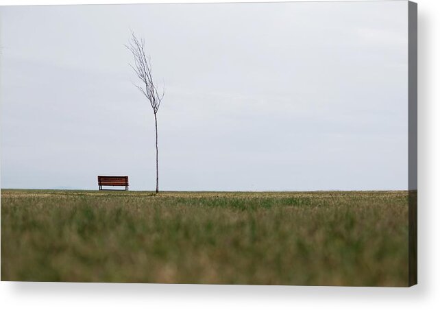 Bench Acrylic Print featuring the photograph #1 by Ali Ayer