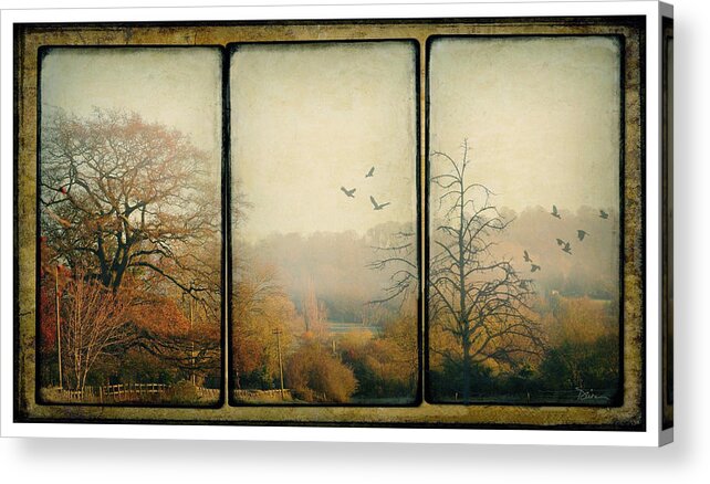 Triptych Acrylic Print featuring the photograph Autumn #1 by Peggy Dietz