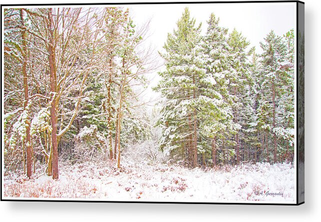 Forest Acrylic Print featuring the photograph Forest Edge in Snow, Pocono Mountains, Pennsylvania #2 by A Macarthur Gurmankin