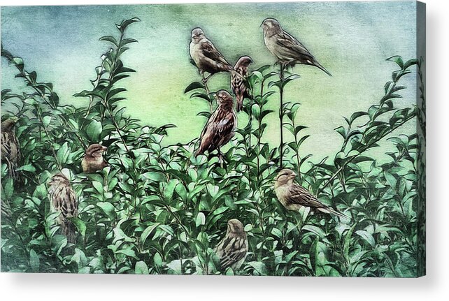 Safety In Numbers Acrylic Print featuring the mixed media Safety In Numbers #1 by Leslie Montgomery