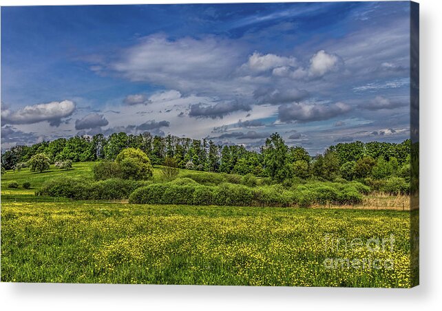 Spring Acrylic Print featuring the photograph Spring is in the air #2 by Bernd Laeschke