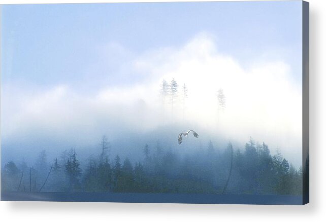 Paysage Acrylic Print featuring the photograph Untitled #126 by Anna Cseresnjes