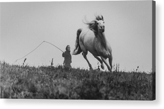 Horse Acrylic Print featuring the photograph A Short Story About The Sunrise Without Sun - Take 1st by Cembrzynski Ignacy