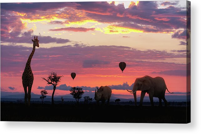 African Acrylic Print featuring the photograph African Safari Colorful Sunrise With Animals by Good Focused