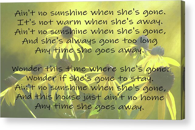 Black Eyed Susan Acrylic Print featuring the photograph Ain't No Sunshine When She's Gone by Leslie Montgomery