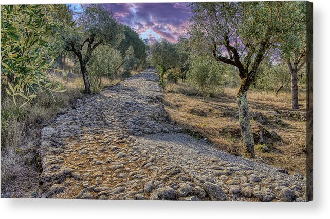 Estrada Romana Acrylic Print featuring the photograph Ancient Roman Road by Micah Offman
