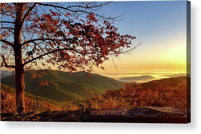 Autumn Acrylic Print featuring the photograph Autumn Blue Ridge Dawn by Lara Ellis