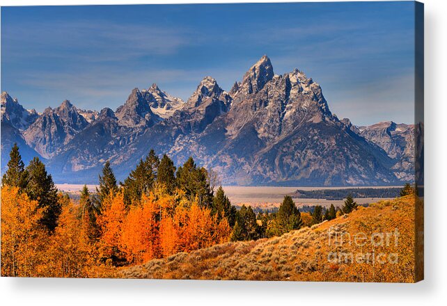 Grand Teton Acrylic Print featuring the photograph Autumn Gold In The Tetons by Adam Jewell