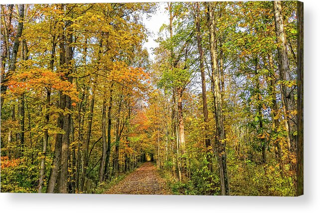 Autumn Leaves Acrylic Print featuring the photograph Autumn Leaves by Chris Spencer
