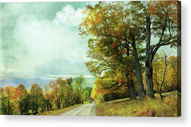 Roads Acrylic Print featuring the photograph Back Roads by John Rivera