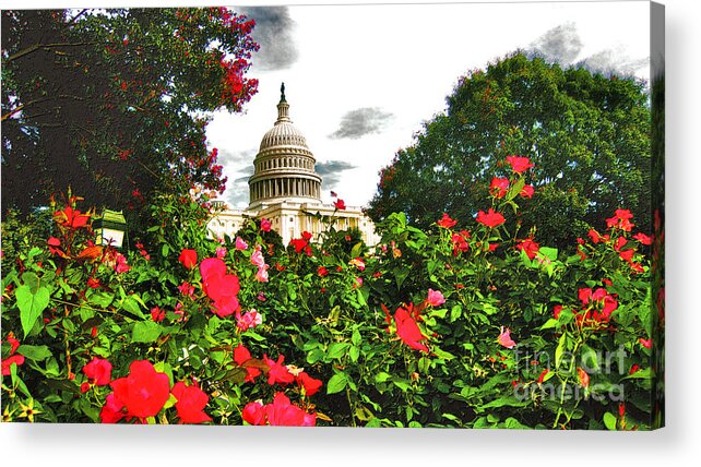 Capitol Acrylic Print featuring the photograph Capitol West Summer - Impression by Steve Ember