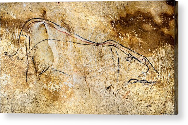 Chauvet Cave Lions Acrylic Print featuring the digital art Chauvet Cave lions courting by Weston Westmoreland
