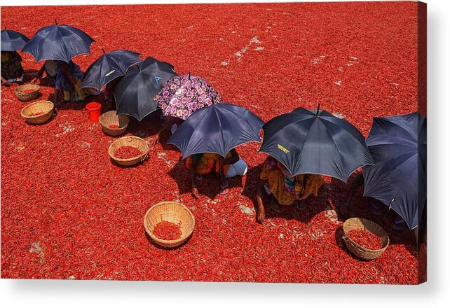 Panorama Acrylic Print featuring the photograph Chili's Worker by Kajoldey