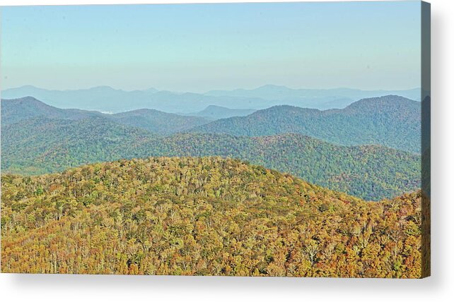 Autumn Acrylic Print featuring the photograph Color Me Autumn by Allen Nice-Webb