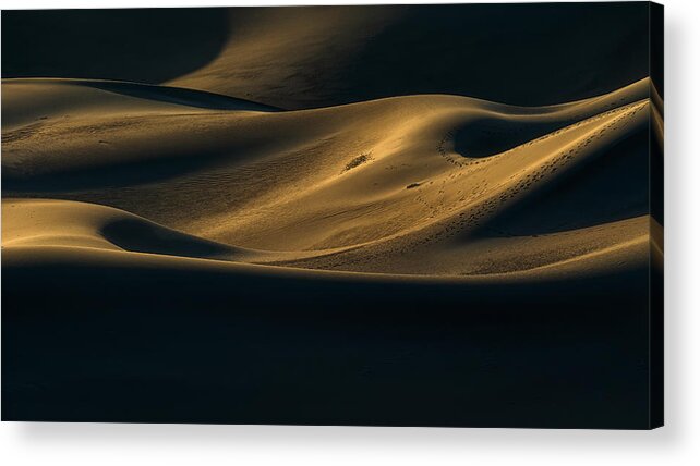 Desert Acrylic Print featuring the photograph Desert Impression by Renzi