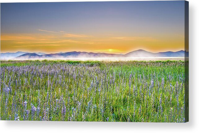 Sunrise Acrylic Print featuring the photograph First Light by Hamish Mitchell