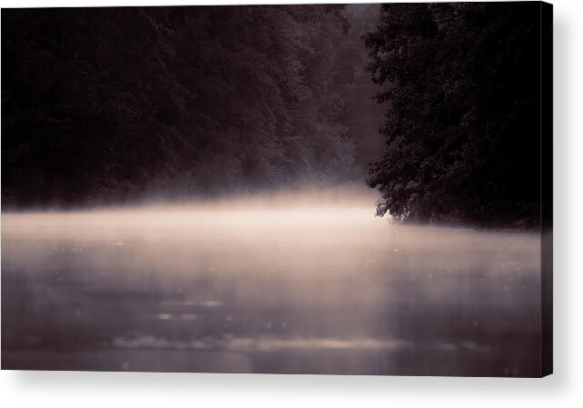  Acrylic Print featuring the photograph Fog by Foto Tinca
