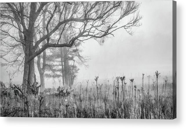 Cades Cove Acrylic Print featuring the photograph Friendly Fog, Black and White by Marcy Wielfaert