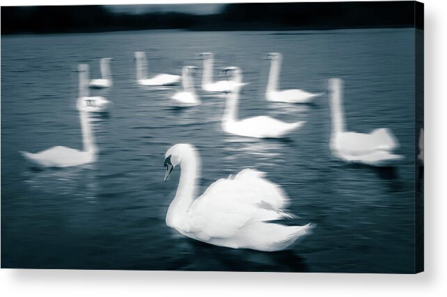 Mute Acrylic Print featuring the photograph Ghosts on the Lake by Carl H Payne