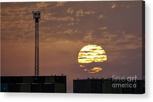 Bright Acrylic Print featuring the photograph Giant Sun at Sunrise Cadiz Harbour by Pablo Avanzini