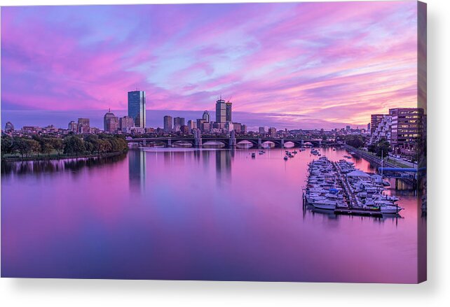 Boston Acrylic Print featuring the photograph In The Pink by Rob Davies