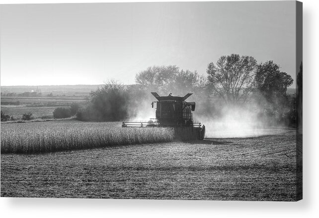 Iowa Acrylic Print featuring the photograph Iowa Soybean Picking by J Laughlin