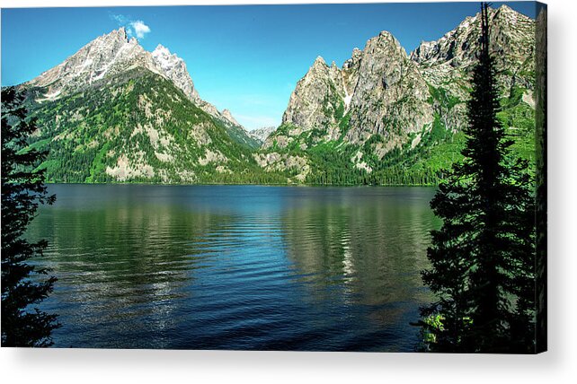 Grand Tetons National Park Acrylic Print featuring the photograph Jenny Lake Morning by Marcy Wielfaert