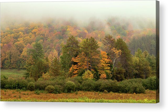 Autumn Acrylic Print featuring the photograph Misty Mountain by Rod Best