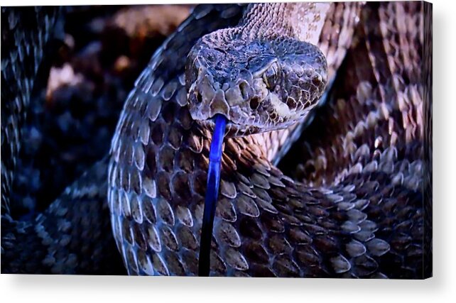 Affordable Acrylic Print featuring the photograph Mojave by Judy Kennedy