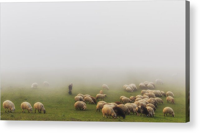 Documentary Acrylic Print featuring the photograph Old Shepherd And Fog by Mohammad Shefaa