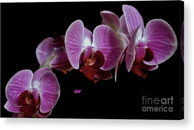 Photo Acrylic Print featuring the photograph Orchids Three by Marsha Heiken