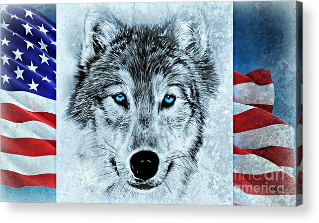 Patriotic Wolf Acrylic Print featuring the drawing Patriotic Wolf by Andrew Read
