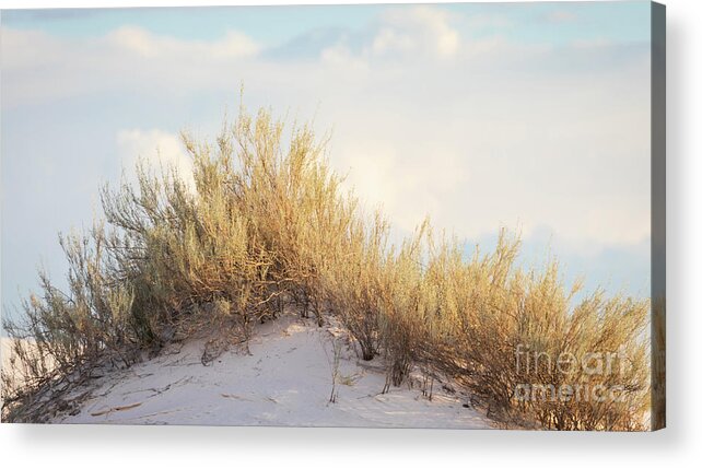 White Sands National Monument Acrylic Print featuring the photograph Peaceful Dunes by Doug Sturgess