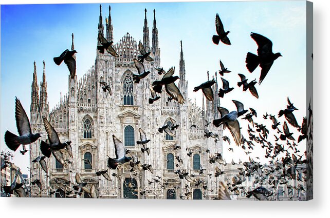 Gothic Style Acrylic Print featuring the photograph Pigeons In Flight Against Duomo by Vicki Jauron, Babylon And Beyond Photography