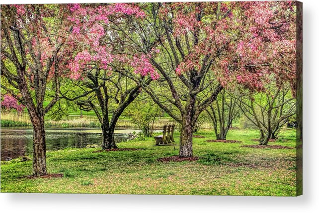 Bruce Park Acrylic Print featuring the photograph Pink blossoms in Greenwich Connecticut by Cordia Murphy