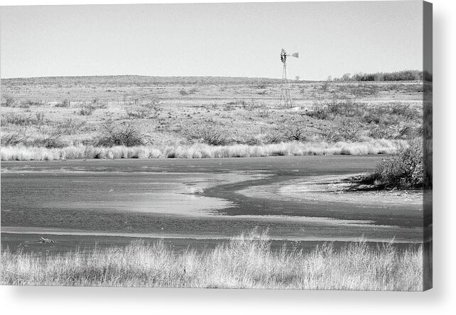 Richard E. Porter Acrylic Print featuring the photograph Playa Lake - Muleshoe Wildlife Refuge, Texas by Richard Porter