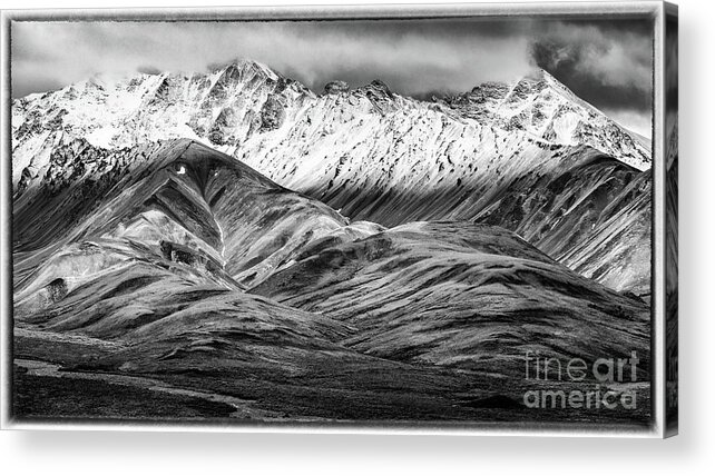 Polychrome Mountain Acrylic Print featuring the photograph Polychrome mountain, Denali National Park, Alaska, BW by Lyl Dil Creations