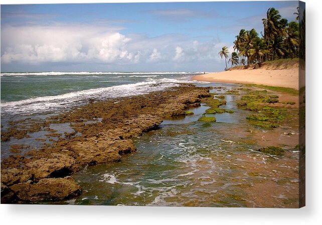 Bahia State Acrylic Print featuring the photograph Praia Do Forte - Bahia by Serlunar