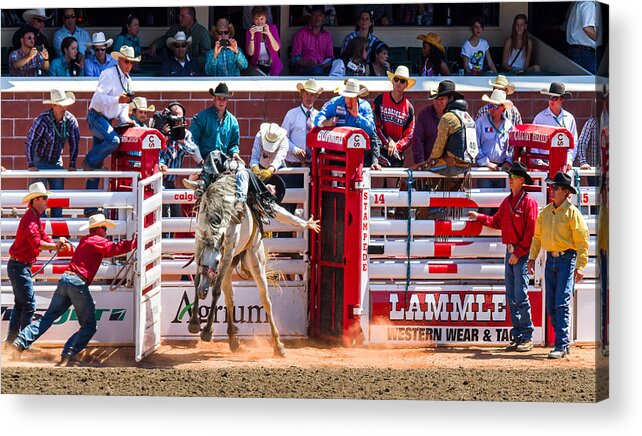 Rodeo Acrylic Print featuring the photograph Rodeo Action by Ugur Erkmen