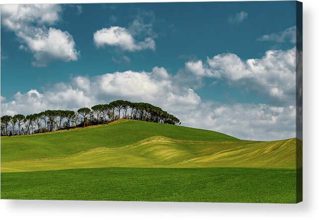 Prime Colors Acrylic Print featuring the photograph Simply Spring in Tuscany by Marcy Wielfaert
