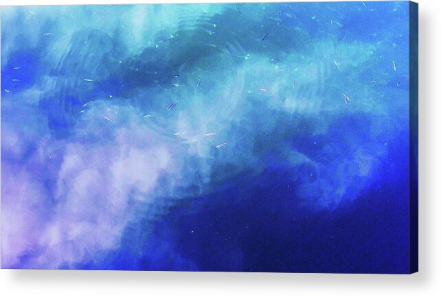 Fish Acrylic Print featuring the photograph Skyfish by Fred Bailey
