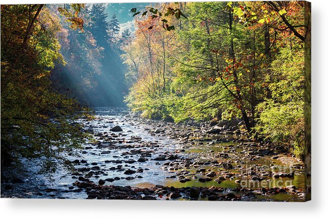 Smokey Mountains Acrylic Print featuring the photograph Sunrise In The Heart Of The Smokey Mountains by Doug Sturgess