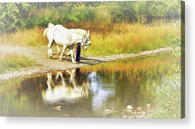 Horses Acrylic Print featuring the photograph Leading the Horses to Water by Ola Allen