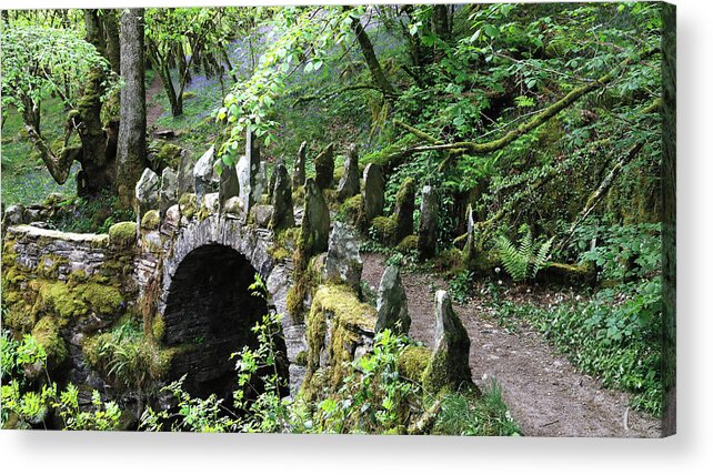 Faerie Bridge Acrylic Print featuring the photograph The Enchanted Forest by Nicholas Blackwell