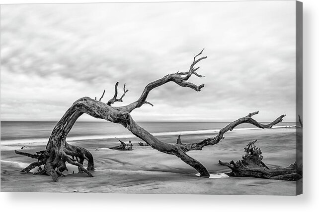 Jekyll Acrylic Print featuring the photograph The Lunge by Ray Silva