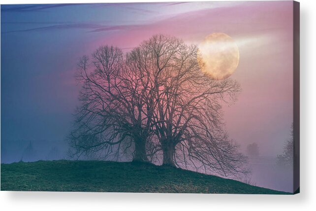 Carolina Acrylic Print featuring the photograph The Moon Rises over the Hillsides in Soft Evening Blues by Debra and Dave Vanderlaan
