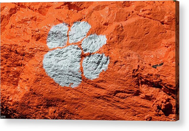Tiger Paw Acrylic Print featuring the photograph Tiger Paw by Lisa Wooten