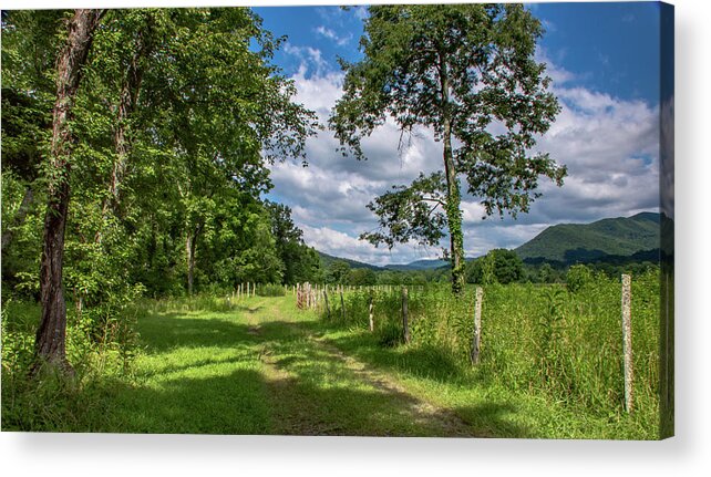 Sparks Lane Acrylic Print featuring the photograph Picnic Spot by Marcy Wielfaert