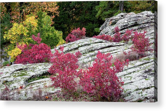 Petit Jean Acrylic Print featuring the photograph Turtle Rocks by James Barber