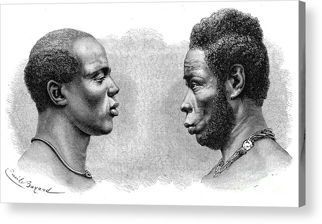 Engraving Acrylic Print featuring the drawing Two Men From French Guinea by Print Collector